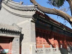-法兴寺