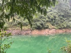 -大奇山国家森林公园