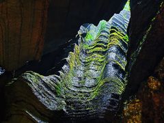 -梭布垭石林景区