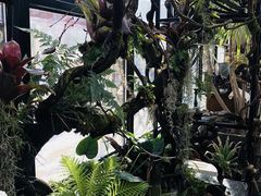 -北马山庄植趣咖啡