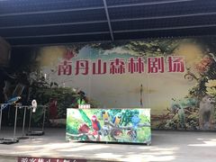 -南丹山森林王国