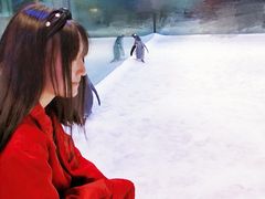 -芜湖新华联大白鲸海洋公园