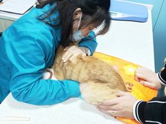 -甄爱宠物医院(疏影路店)