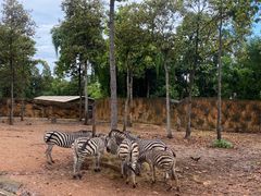 -清迈夜间动物园