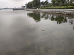 -郑东新区龙湖公共艺术中心