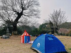 -东湖落雁景区