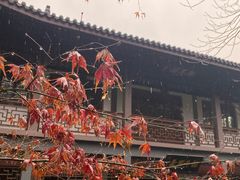 门面-十八棵（老龙井）御茶园(老龙井店)