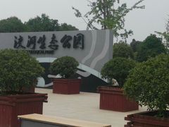 -洨河生态公园