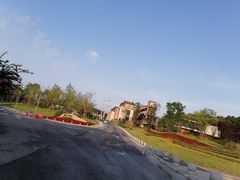 -铁山坪森林公园