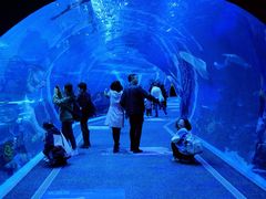 -成都浩海立方海洋公园