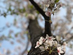 -龙美术馆(西岸馆)