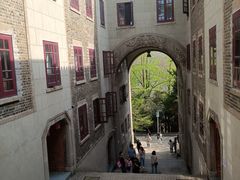 -武汉大学-樱园