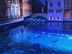 -华夏文旅海洋公园