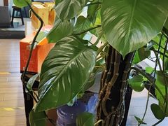 -天和晟新京菜.水煮鱼.湘土菜(国展店)