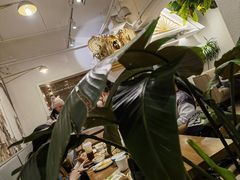 -金孔雀德宏傣味餐馆(魏公村店)