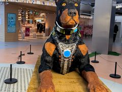 -光启城时尚购物中心