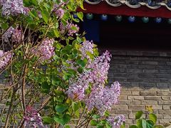 -老龙头景区