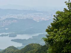 -梧桐山风景名胜区