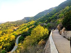 -北京西山国家森林公园