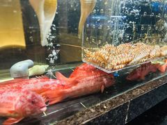 -许家菜(望江店)