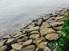 -巴拉湾海滩