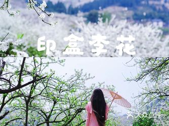 自驾重庆 | 渝北印盒李花都开好啦:三月到印盒看雪
