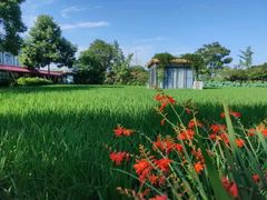 -洪湖家庭农场·团建·露营·会议