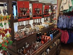 -班达拉奈克国际机场