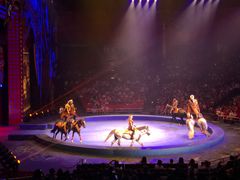 -珠海横琴长隆《卡卡虎奇遇记》