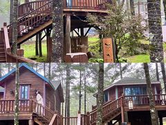 -洛阳白云山景区