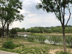-东郊湿地公园