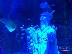 -沈阳海洋探索中心