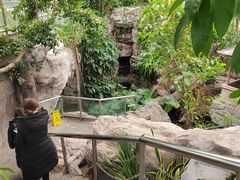 -北京植物园-展览温室