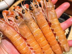 -吉川谷谷·日料放题(广安门店)