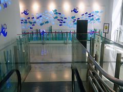 -新荟城(望京店)