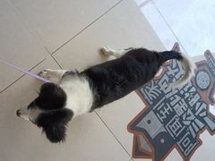 -美联众合24小时·皮肤科·外科·全科诊疗中心(华苑分院)