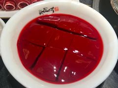 鲜鸭血-纸盐河码头火锅(十八梯店)