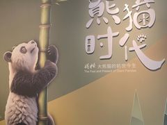-深圳博物馆历史民俗馆