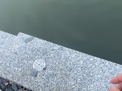 -DGE季风钓虾营地·团建·聚会