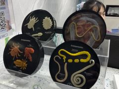 -半岛宠物医院24小时(白果林店)