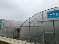 -洪湖家庭农场·团建·露营·会议