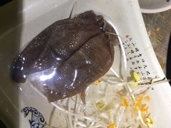 -符淼淼火锅(宽窄巷子店)