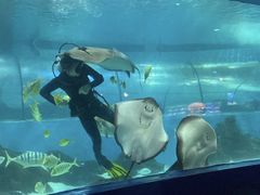 -苏州海洋馆