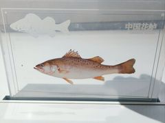 -中国湿地博物馆