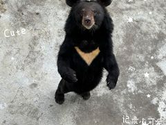 -富乐山