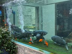 -又见炊烟私房菜(敬亭路店)