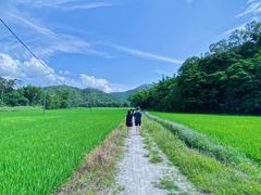 -台山黑沙湾海浴场