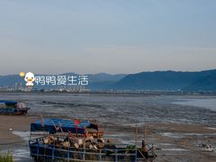 -北岐滩涂