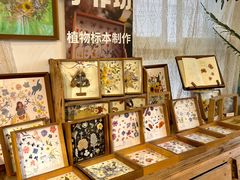 -知物癖(牛王庙店)