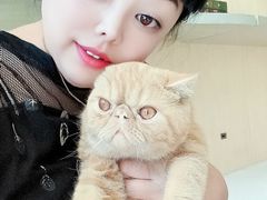-飞行喵MR PILOT|猫舍·猫咖(静安大融城店)